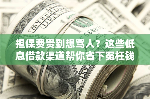 济南担保费贵到想骂人？这些低息借款渠道帮你省下冤枉钱