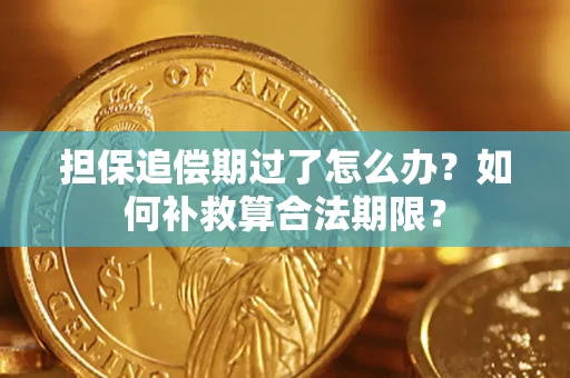 济南担保追偿期过了怎么办？如何补救算合法期限？