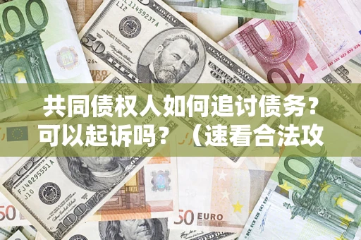 济南共同债权人如何追讨债务？可以起诉吗？（速看合法攻略）